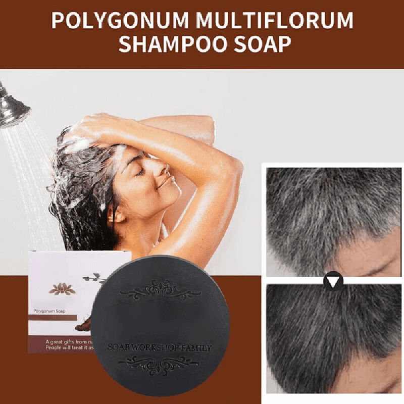 Polygonum multiflorum shampoo soap
