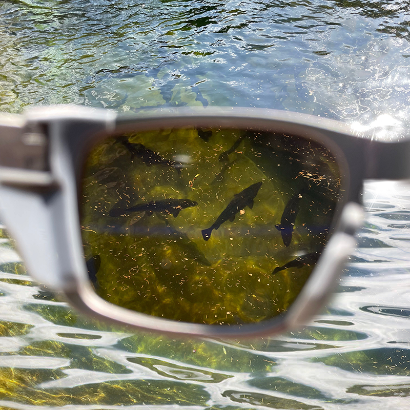 Fishing polarized sunglasses
