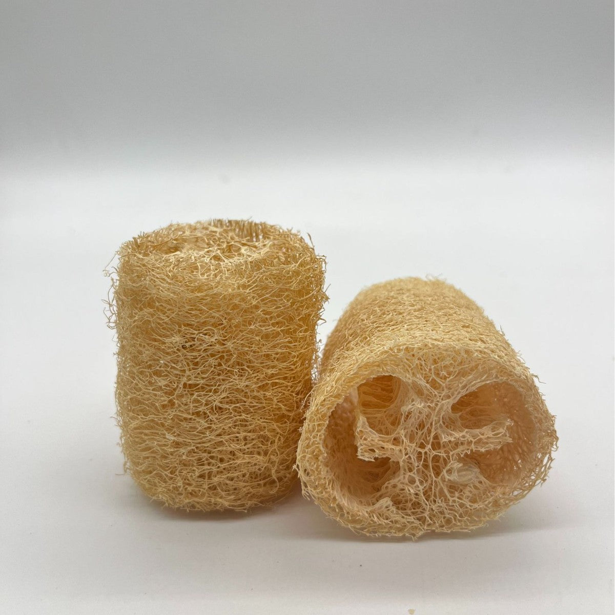 Natural loofah dishwashing tool