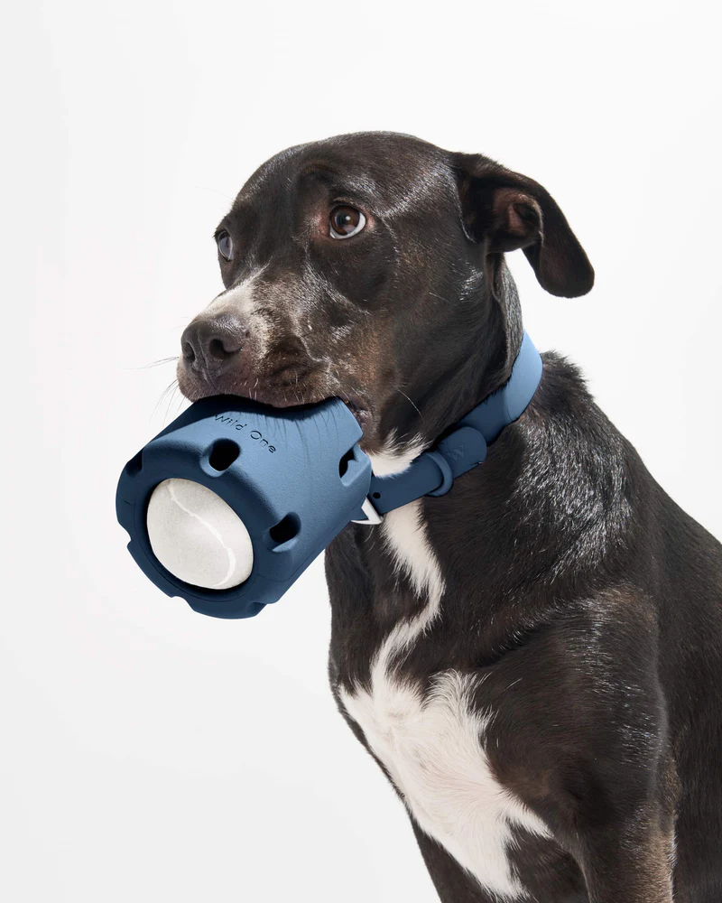 Pet Toy: Tennis Tumbling