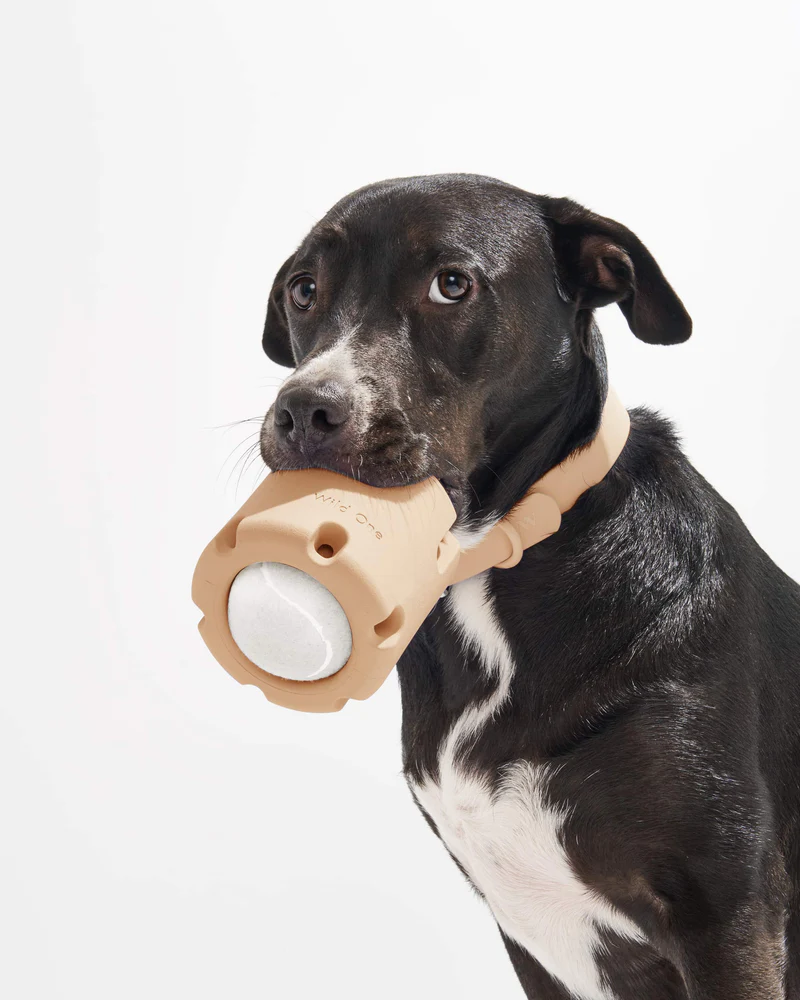 Pet Toy: Tennis Tumbling