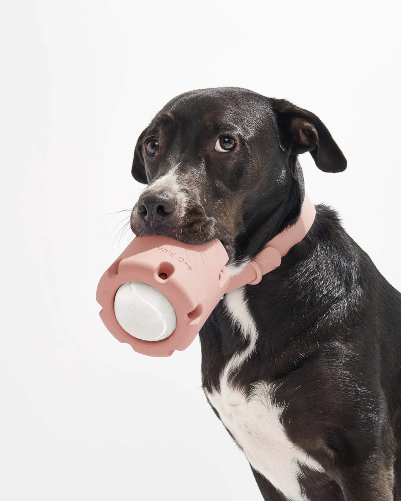 Pet Toy: Tennis Tumbling