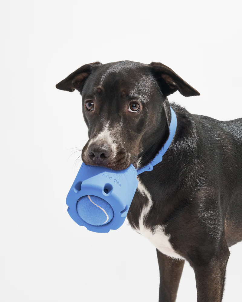 Pet Toy: Tennis Tumbling